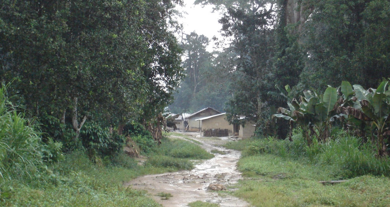 Bu köyde beş parasız gezen ertesi gün milyoner oluyor: Kapılarının önünde buluyorlar
