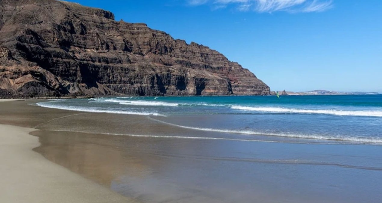 Sahil zehirli yaratıkla doldu taştı: Meşhur plaj kapatıldı