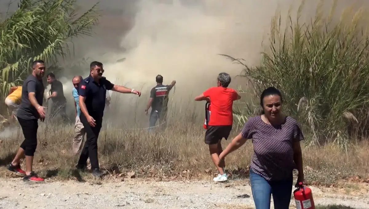 Manavgat’ta Sazlık Yangını