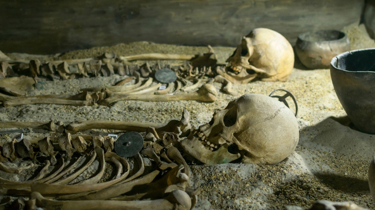 Tarihi değiştirebilecek yeni keşif: İskeletlerde hamilelik testi!