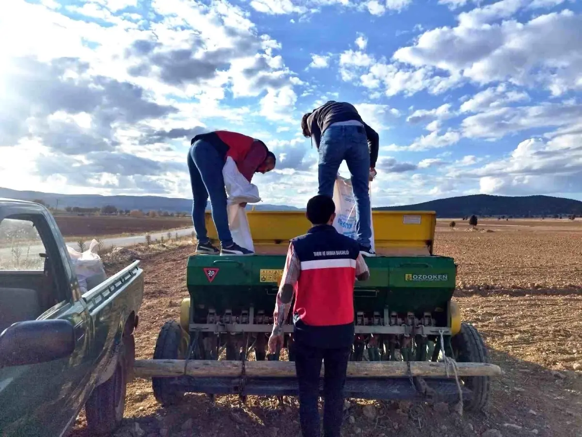 Çavdarhisar’da Tohum Dağıtımı ve Ekimi
