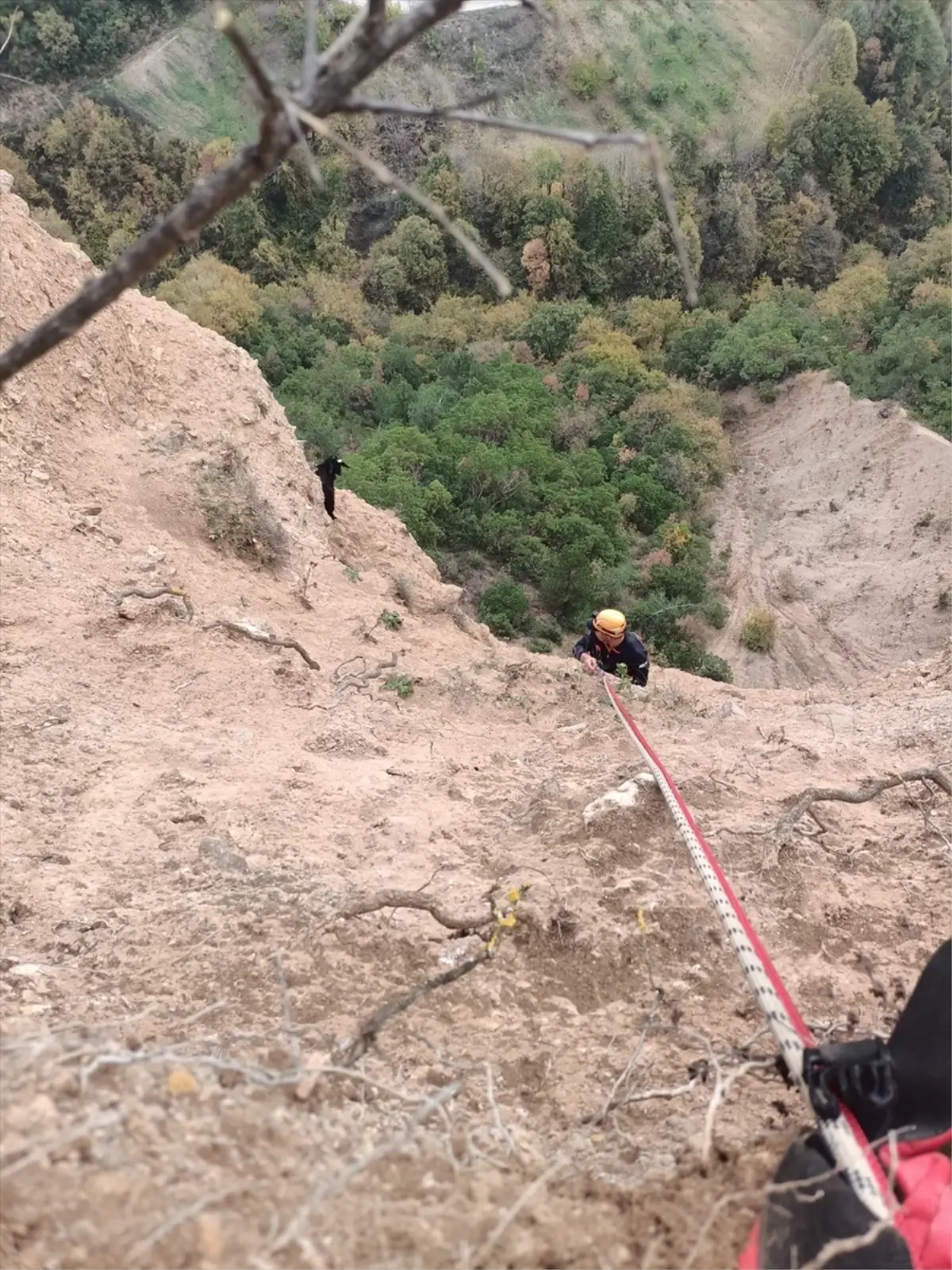 Mahsur Keçi Kurtarıldı