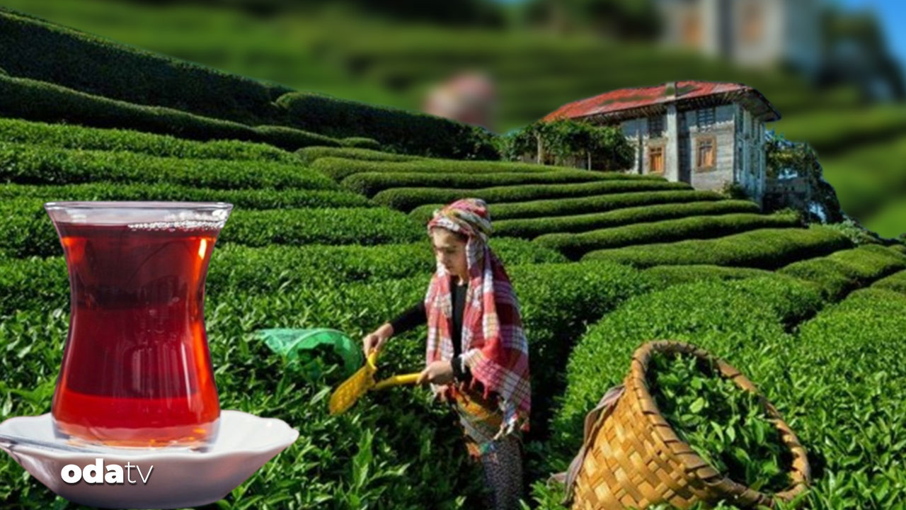 Lipton resmen çekildi: Çay üretimini kime devretti