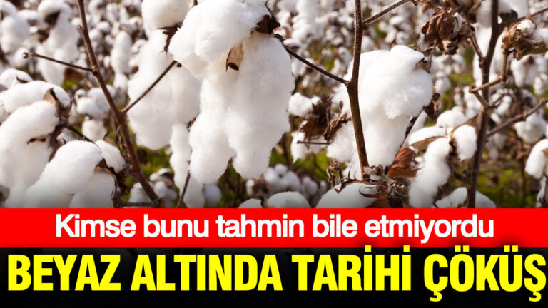 beyaz-altinda-tarihi-cokus-RmmCOw76