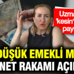 emekli-ve-memur-temmuz-maas-zamminda-masadaki-iki-senaryo-sgk-uzmani-dilek-ete-acikladi-GKIF1Cmn